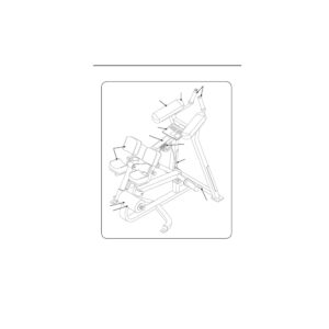 Cybex 5000 PL Kneeling Leg Curl Instruction Decal (5240-307)